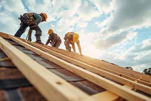 roofers installing roof frame
